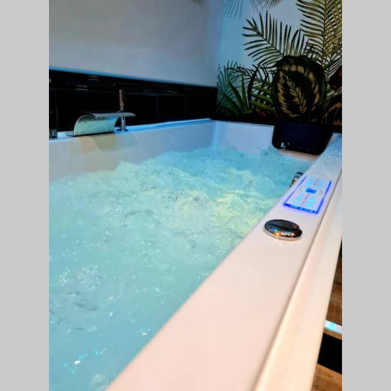Appartement cosy avec baignoire balnéo - Appartement 1 Chambre - 4