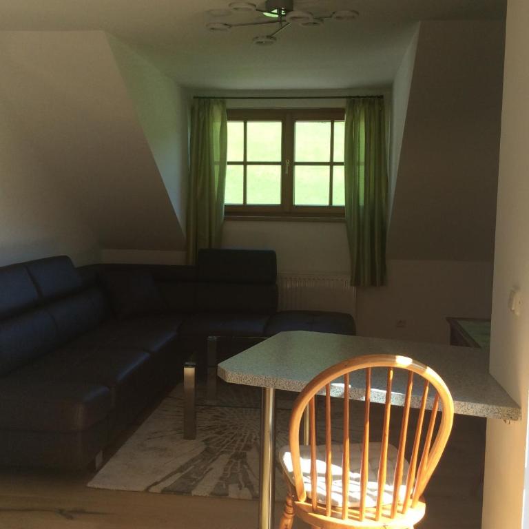Eisenstattgut Faistenau - Appartement 1 Chambre avec Balcon et Vue sur les Montagnes - 4