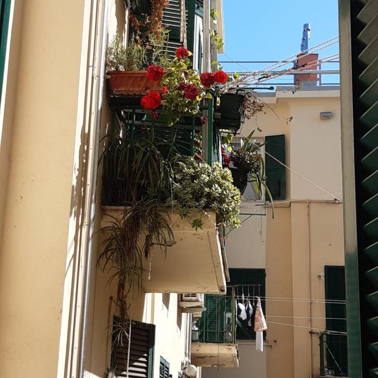 Hotel Guesthouse MASSENA - Economy Double Room - 4