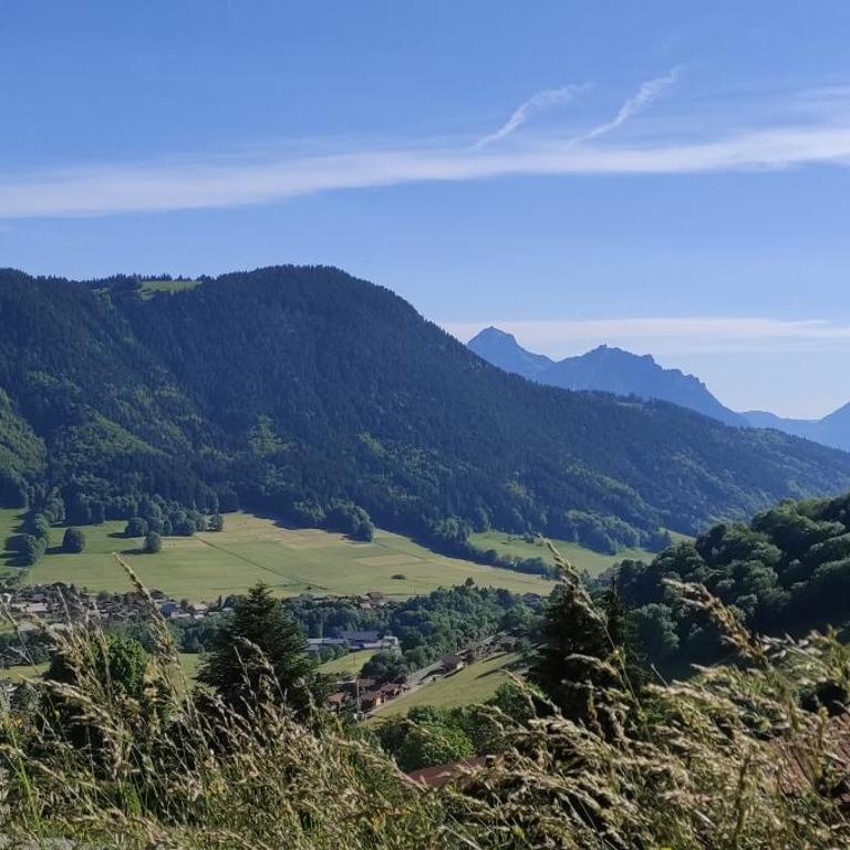Appartement T2 à BERNEX avec WiFi, vue sur montagne - Appartement 1 Chambre - 14