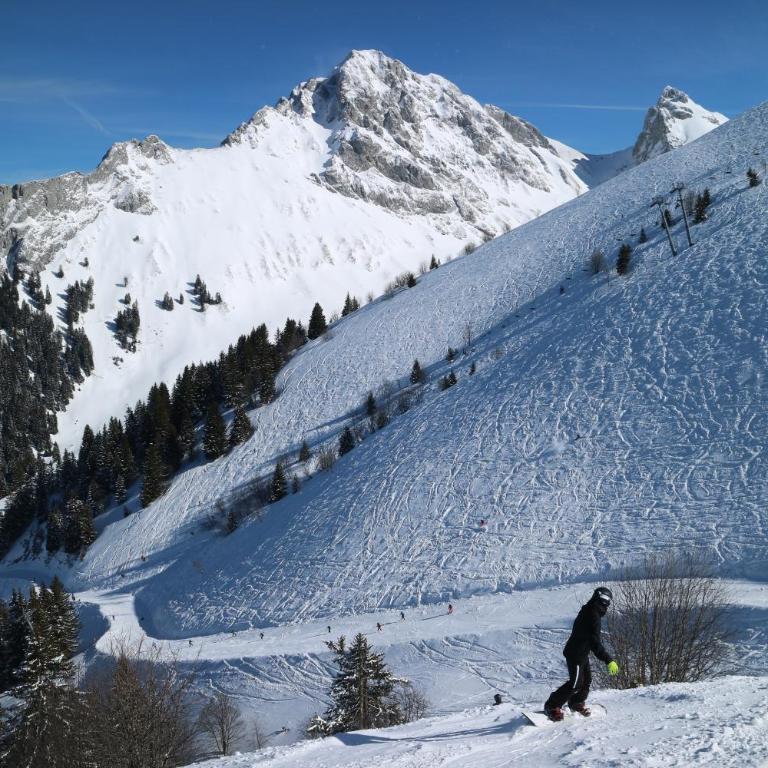 Appartement T2 à BERNEX avec WiFi, vue sur montagne - Appartement 1 Chambre - 26
