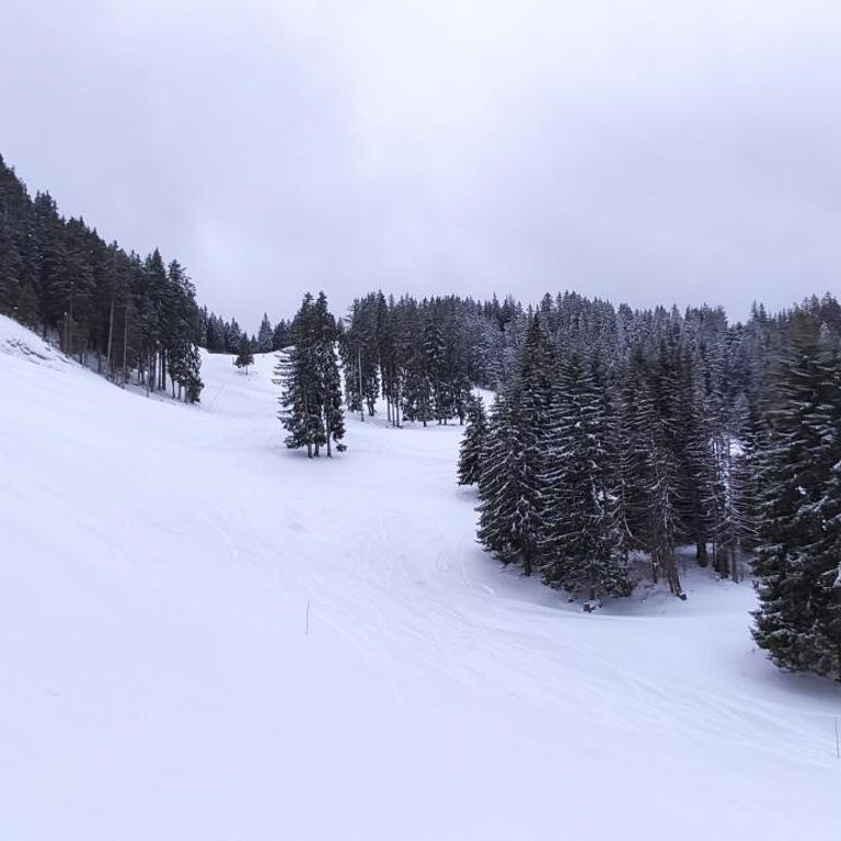 Appartement T2 à BERNEX avec WiFi, vue sur montagne - Appartement 1 Chambre - 28