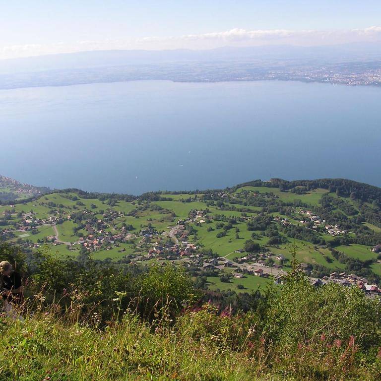 Appartement T2 à BERNEX avec WiFi, vue sur montagne - Appartement 1 Chambre - 17