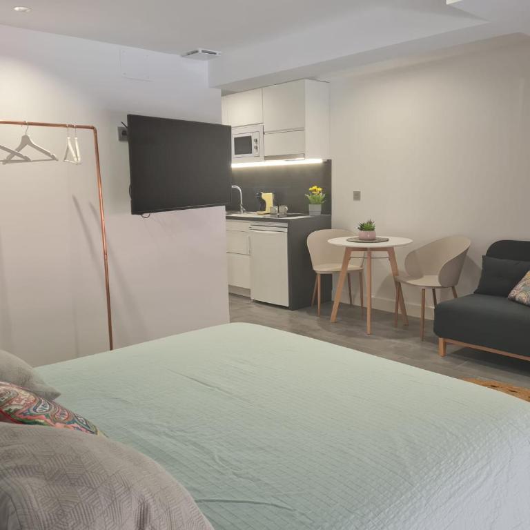 LoftinMalaga - Estudio con cama grande adaptado para personas con movilidad reducida - 6