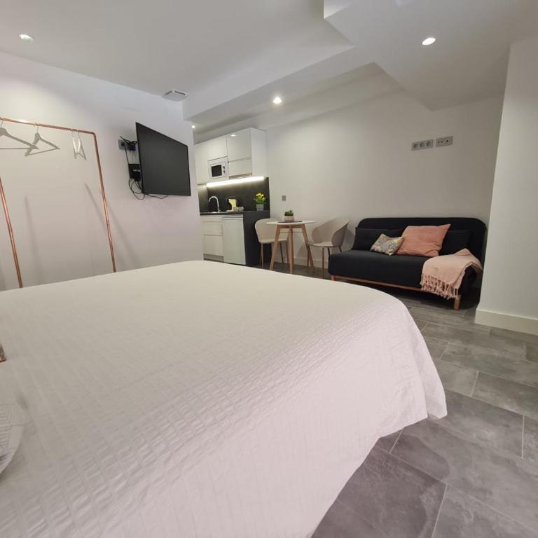 LoftinMalaga - Estudio con cama grande adaptado para personas con movilidad reducida - 11