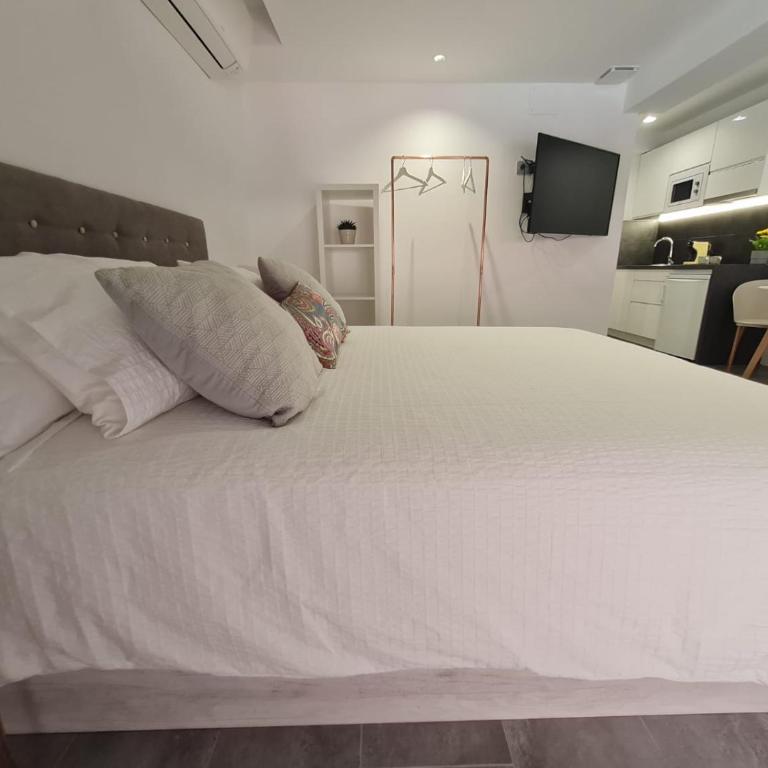 LoftinMalaga - Estudio con cama grande adaptado para personas con movilidad reducida - 13