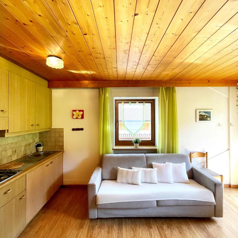 Apartments Spirit of Mountains - Appartamento con Balcone - 4