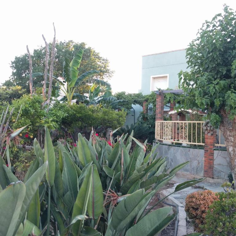 Casa Baleso - Vacation Home - 3