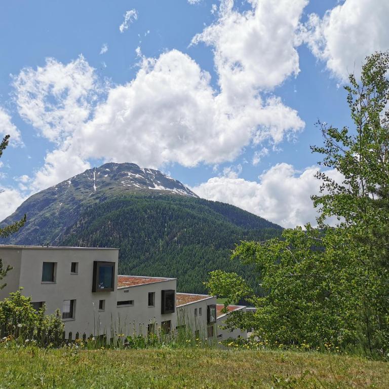 Ferienwohnung Pontresina - Chesa Andrea - Gartensitzplatz - Apartment mit 3 Schlafzimmern - 22