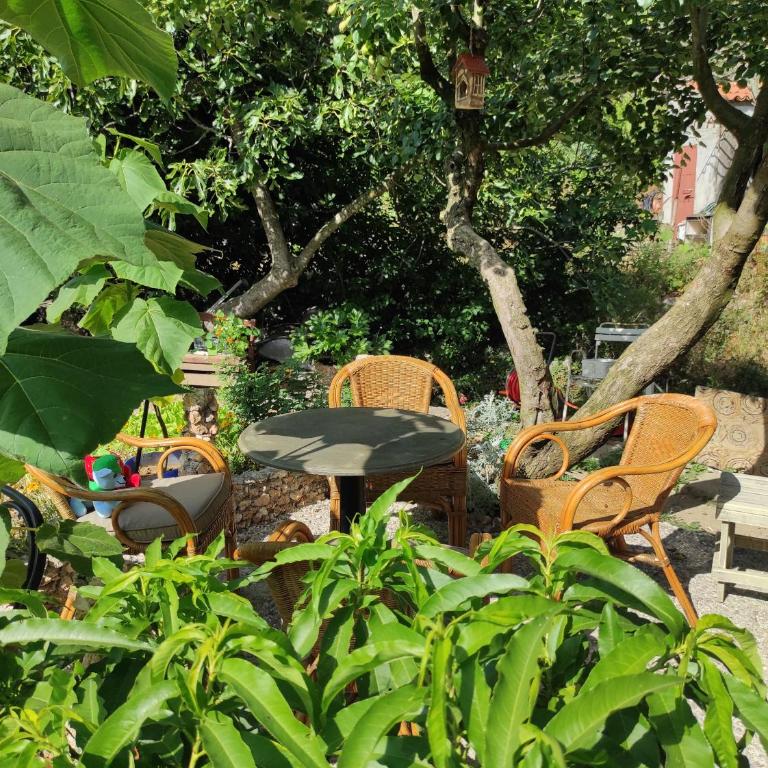 Apartments Papan - Studio mit Gartenblick - 3