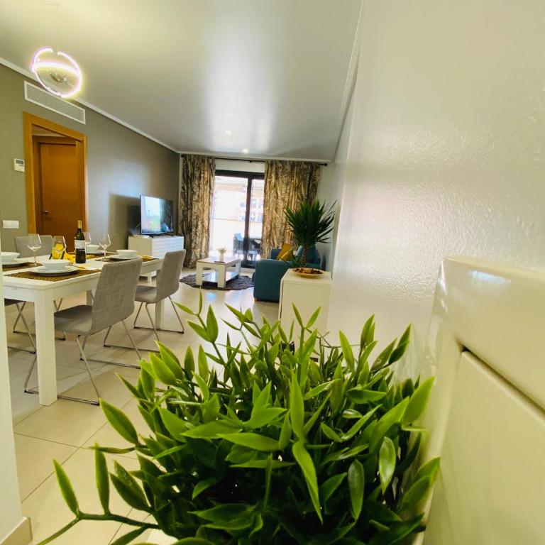 M & B Beach Apartment - Apartamento de 2 dormitorios - 16