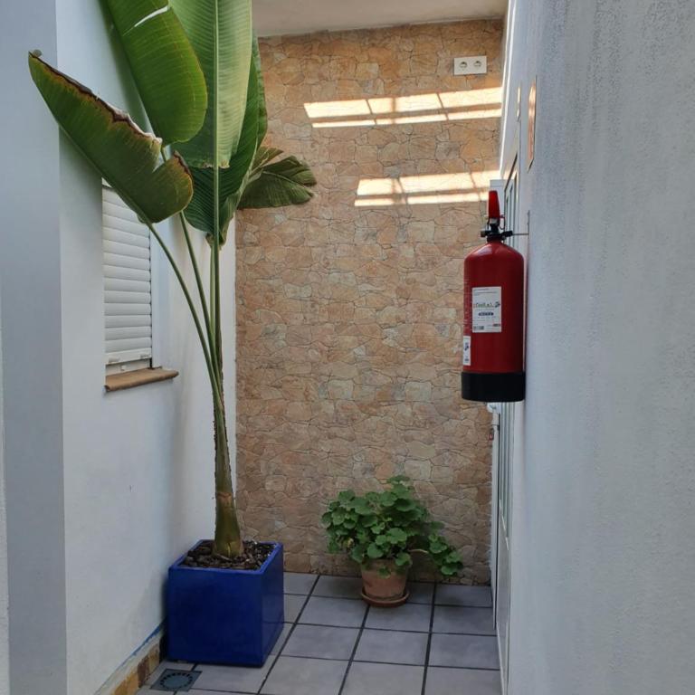 Apartamento La Chanca - Apartamento de 1 dormitorio - 4