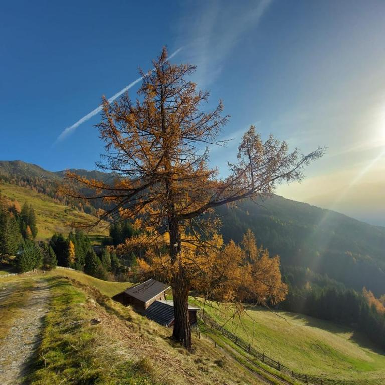 Seven Reasons / Panorama View - Appartamento con 1 Camera da Letto - 13