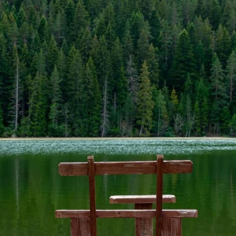 Apartman Jegdic-Zabljak - One-Bedroom Apartment - 30