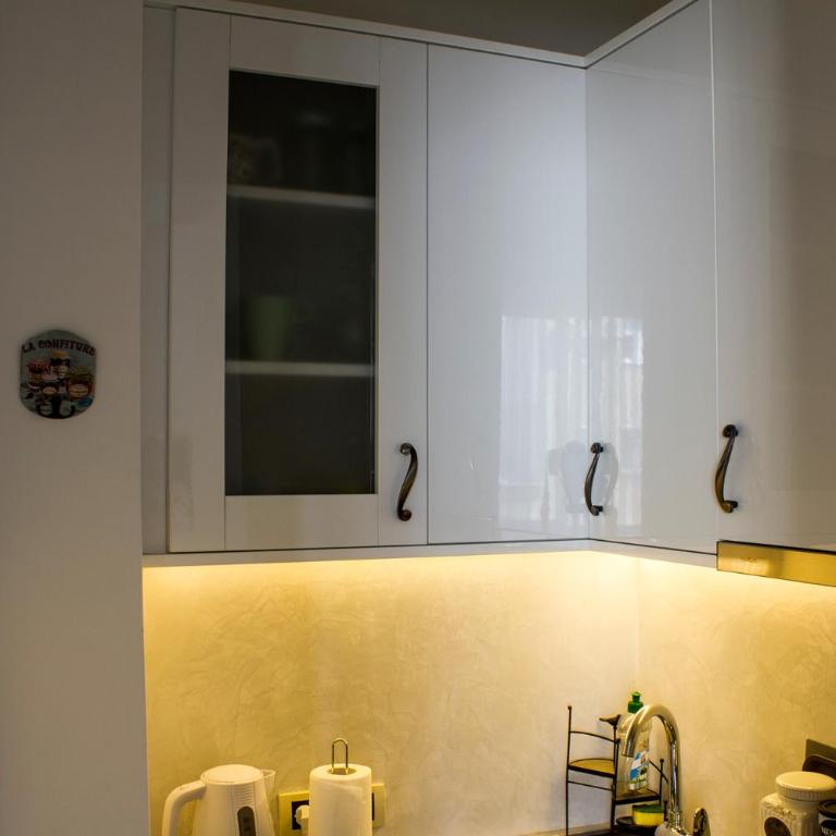 Cokino sokače - Apartman Tipa "Suite" sa 1 Spavaćom Sobom - 10