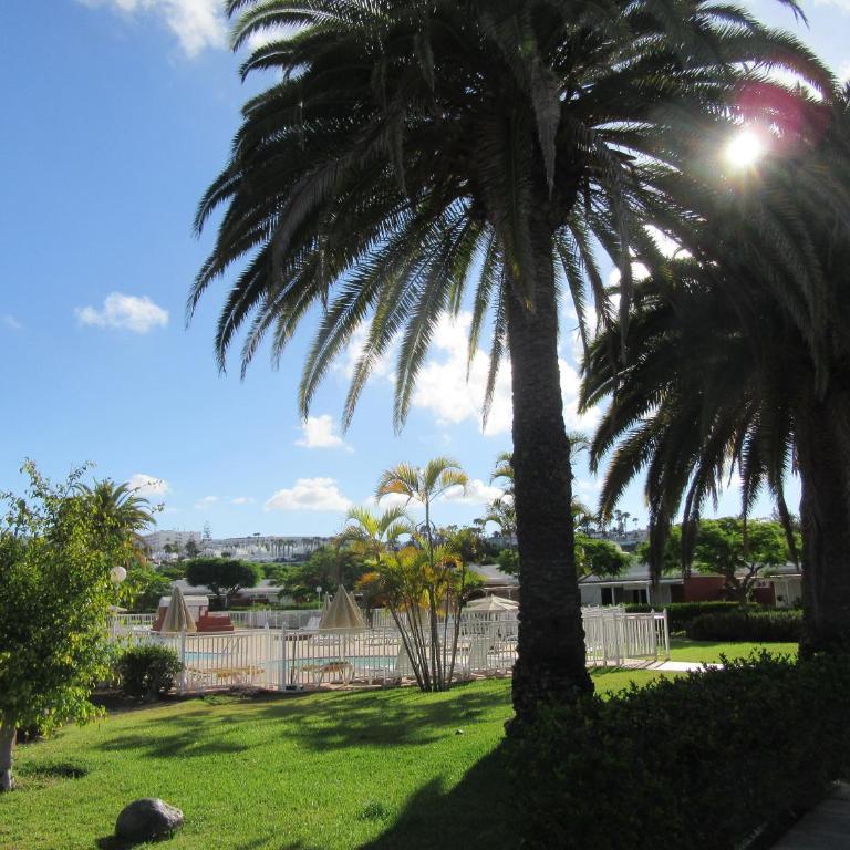 Bungalow Los Melocotones - Apartamento - 19