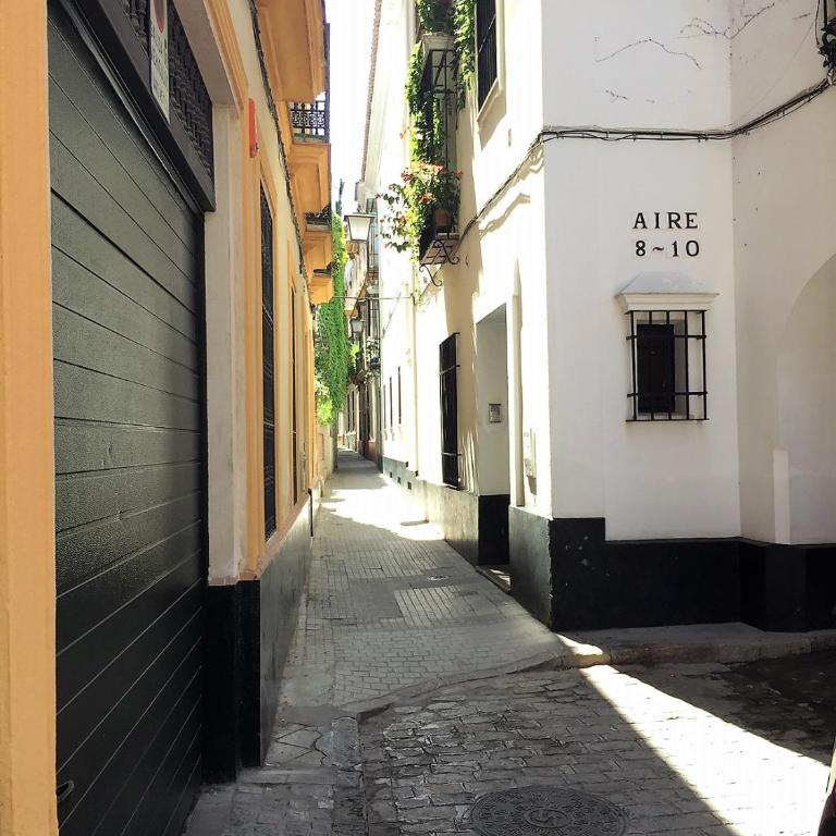 Luminoso y amplio apartamento en el centro histórico de Sevilla - Apartamento de 1 dormitorio - 17