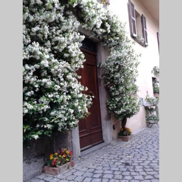 Il gelsomino di Isia - Maison 2 Chambres - 1