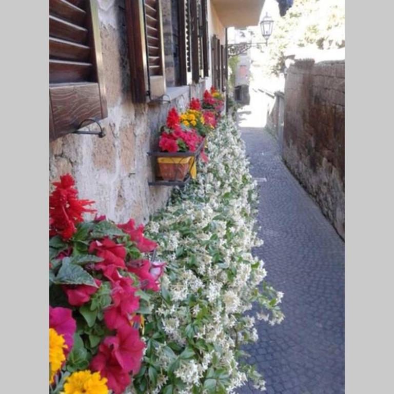 Il gelsomino di Isia - Maison 2 Chambres - 6