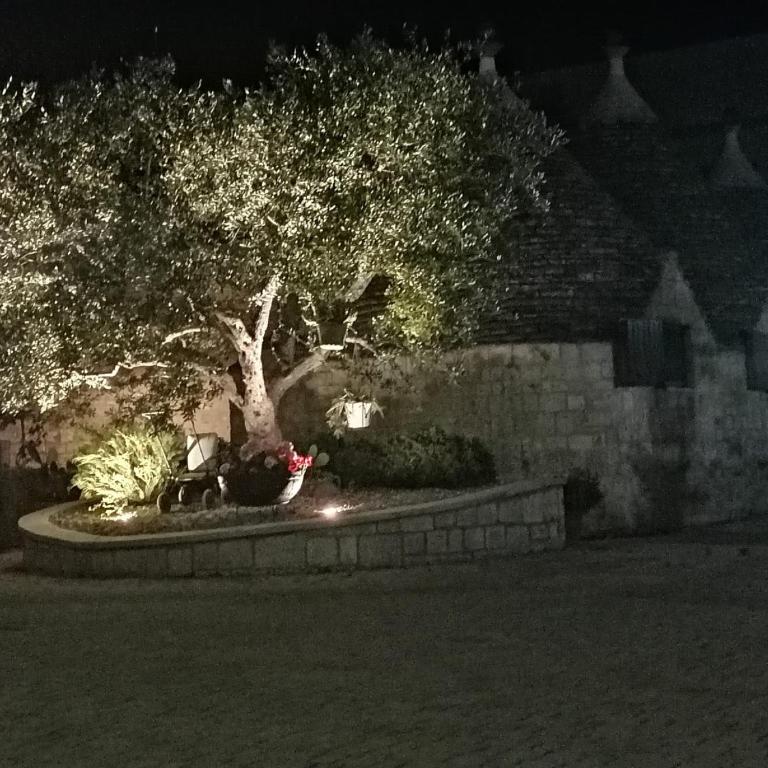 Trullo Paesano - Casa Vacanze - 10