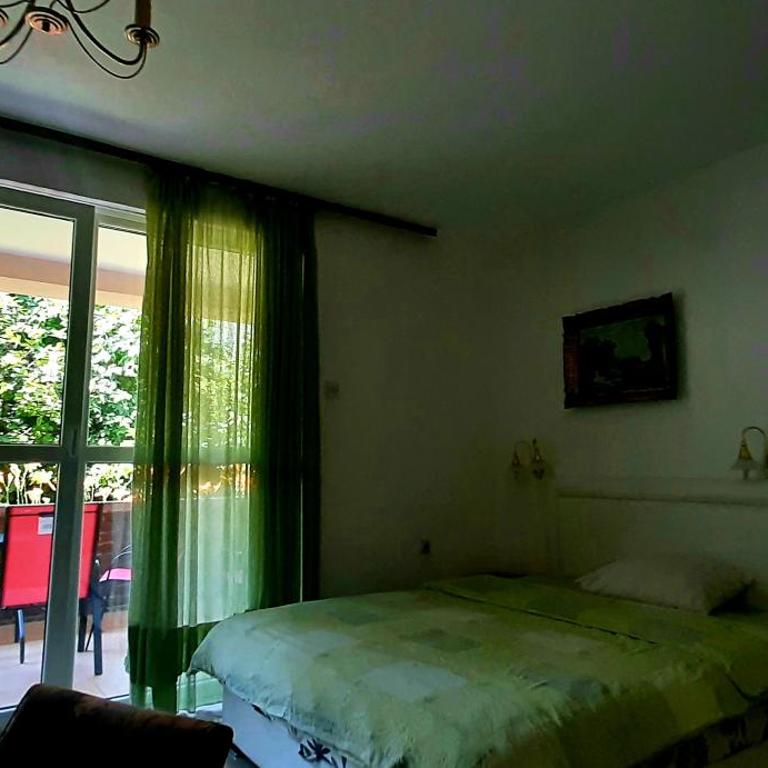 Apartments Nebojša - Deluks Apartman - 14