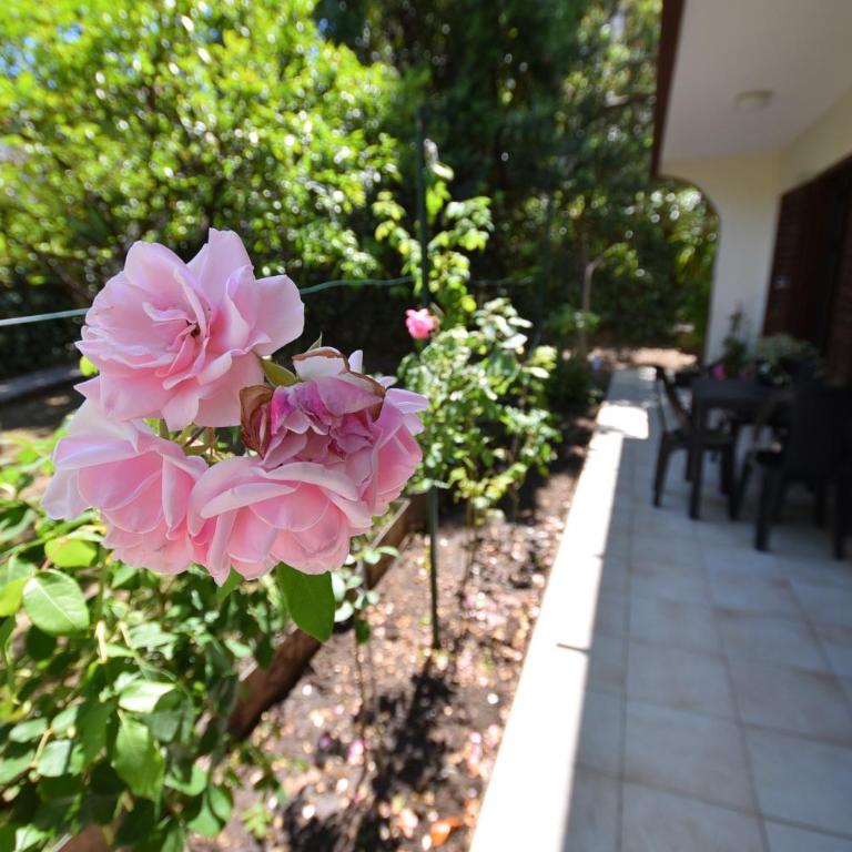 Igalo Garden Apartment - Two Bedroom Apartment - 1