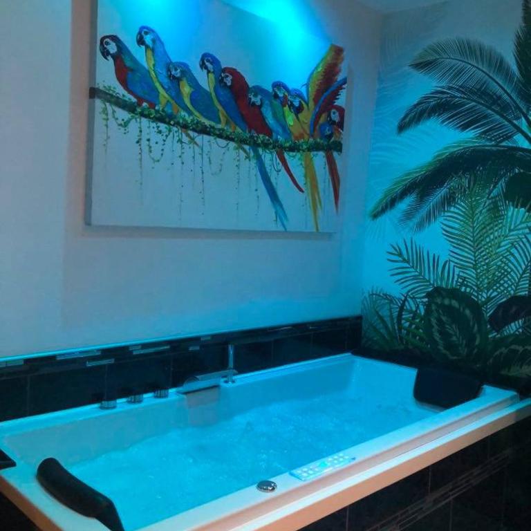 Appartement cosy avec baignoire balnéo - Appartement 1 Chambre - 2