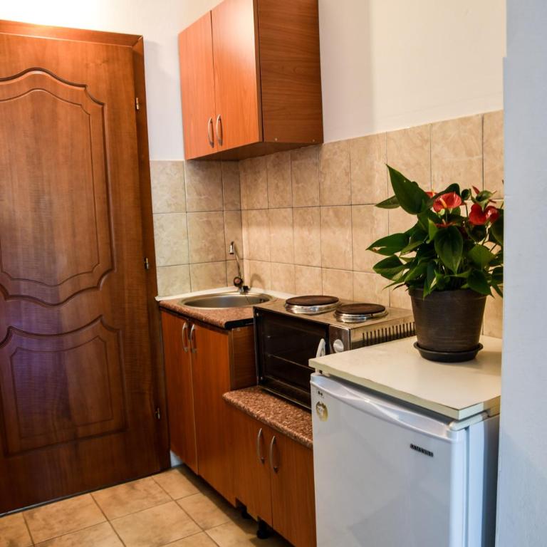 Casa Sinani - Apartman sa Balkonom - 1