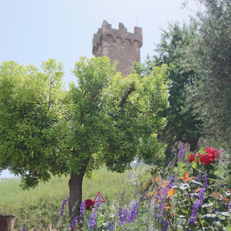 CASA COSTA DELLE CASERME - Appartamento con 1 Camera da Letto - 15