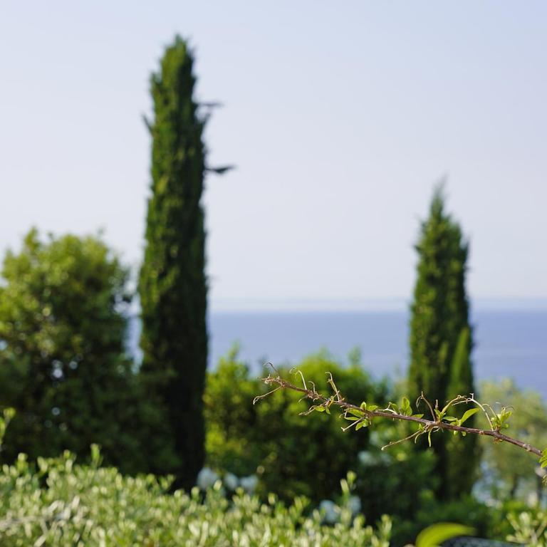 Villa Bouganville - One-Bedroom Villa - 32