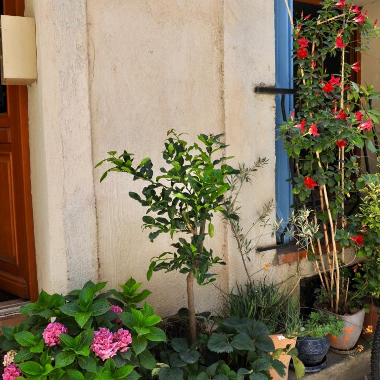 Loft Apartment , La Terrasse Centre Ville d'Arles, - Apartment with Terrace - 32