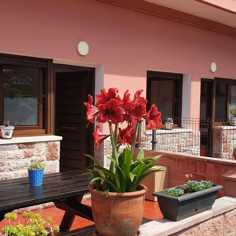 Apartamentos Fermín - Apartamento - Planta baja - 1