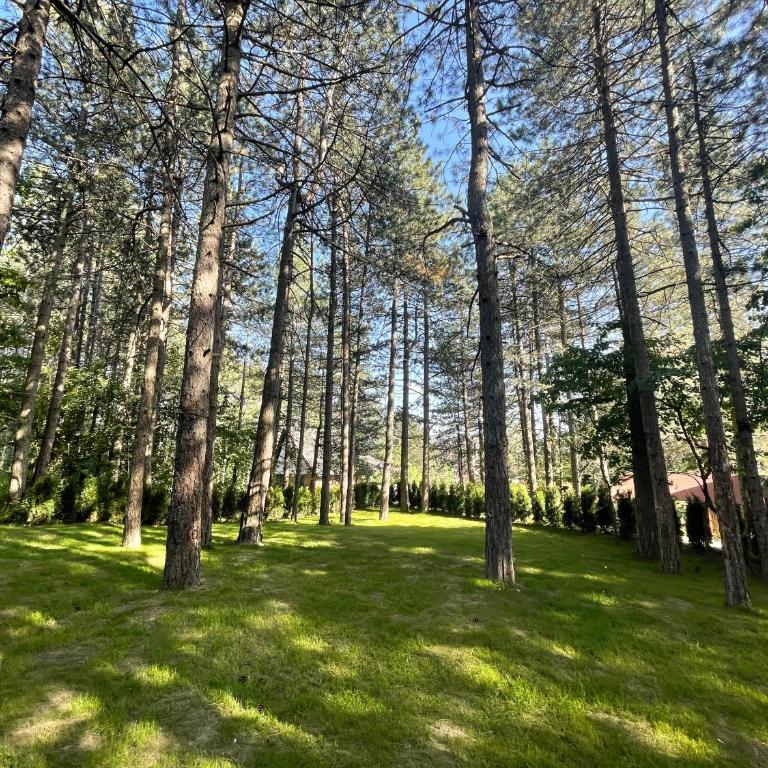 Apartments Micic - Apartman na Više Nivoa - 21