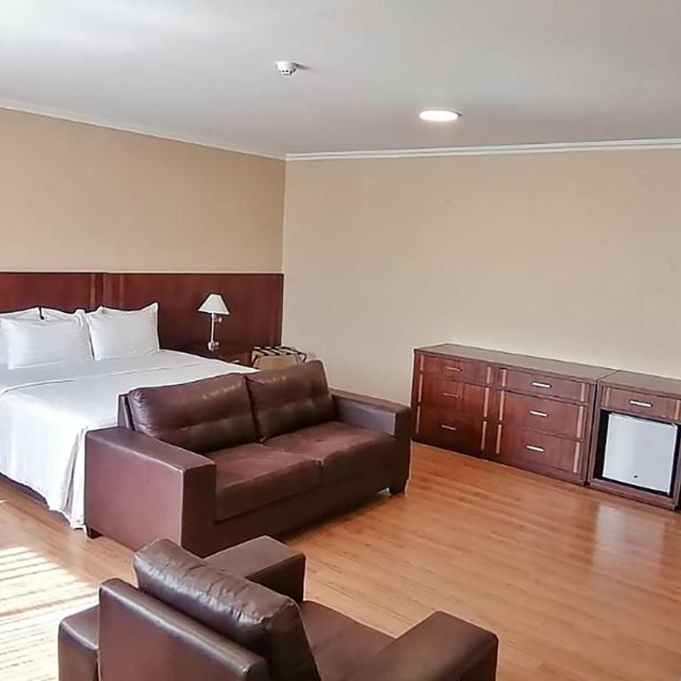 Fenix Hotel - Habitación Superior - 1 cama grande - 6