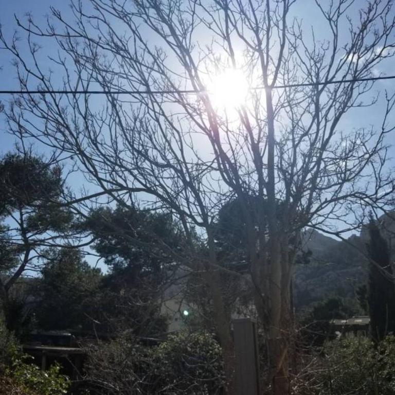 Calanques de Sormiou - Appartement 1 Chambre - 6
