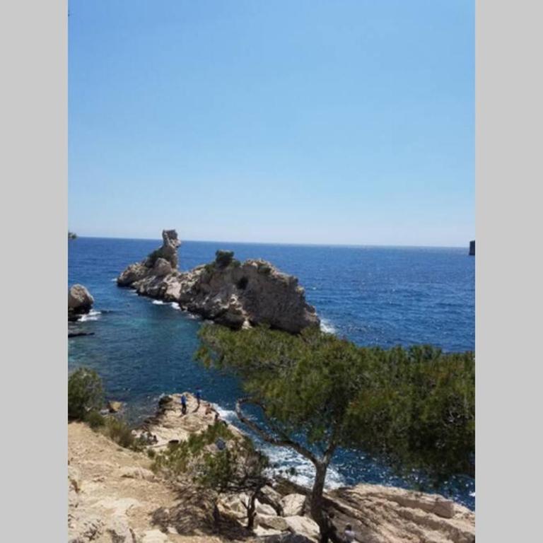 Calanques de Sormiou - Appartement 1 Chambre - 8
