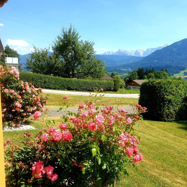Ferienwohnung Albert Egger - Appartamento con Vista Montagna - 38