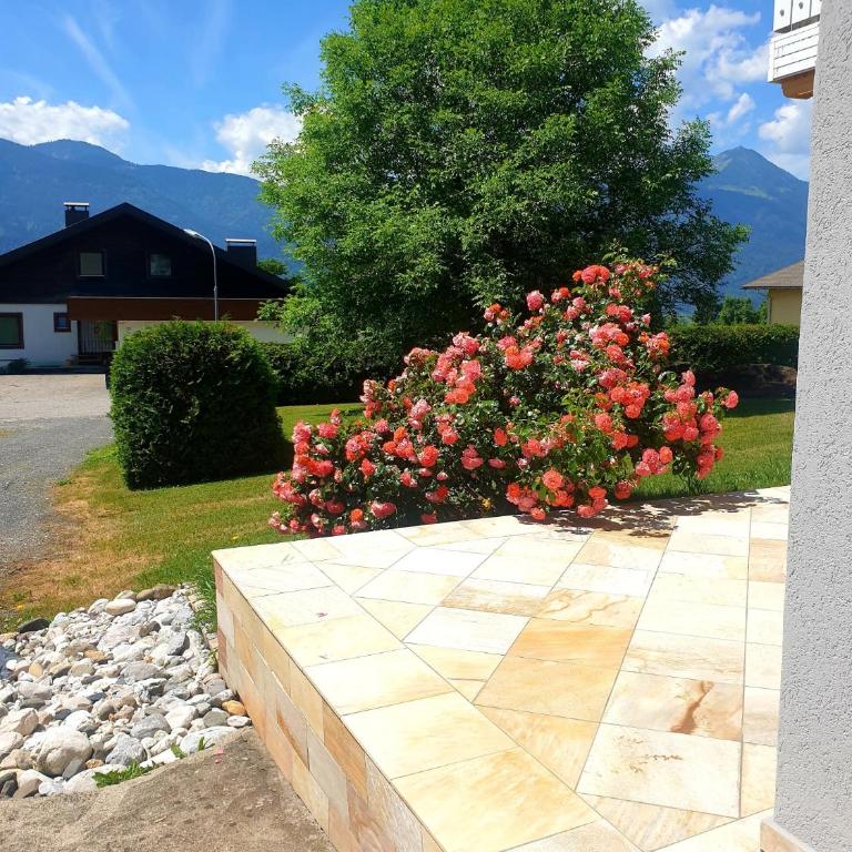 Ferienwohnung Albert Egger - Appartamento con Vista Montagna - 5