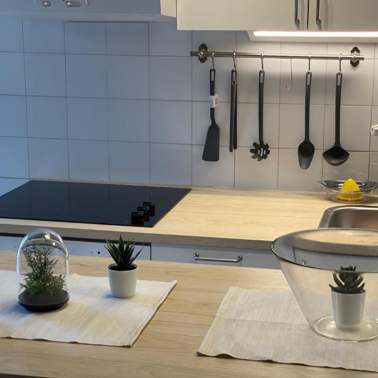 Sokobanja Apartman Aleksa - Apartment - 3