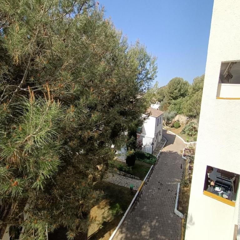 R121 - Apartamento Alorda park - Apartamento - 60