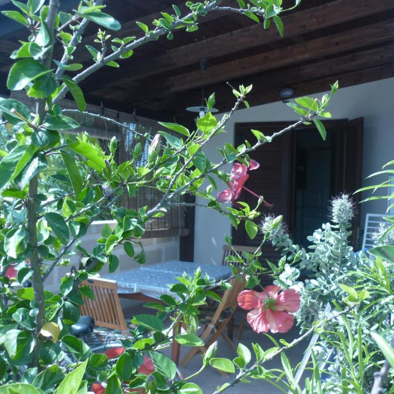 MARGIU' - One-Bedroom House - 1
