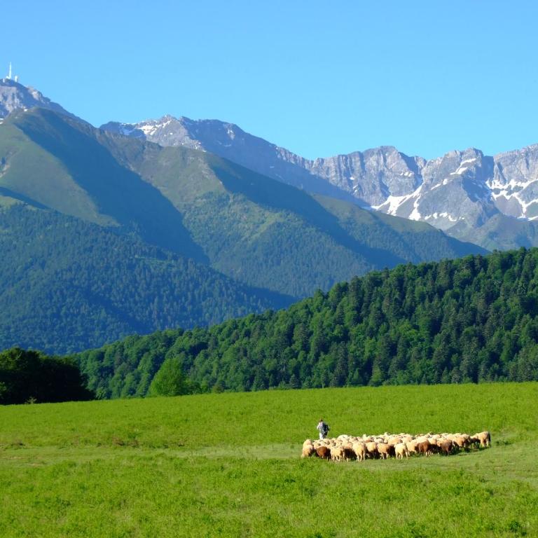 Vie d'Estive - Chalet Superior - 1