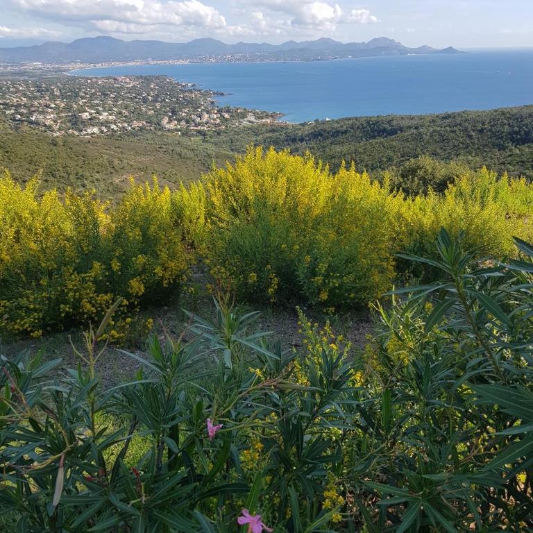 Villa Marcelline - Les Issambres Belle vue mer Golfe de Saint Tropez - Maison 5 Chambres - 71