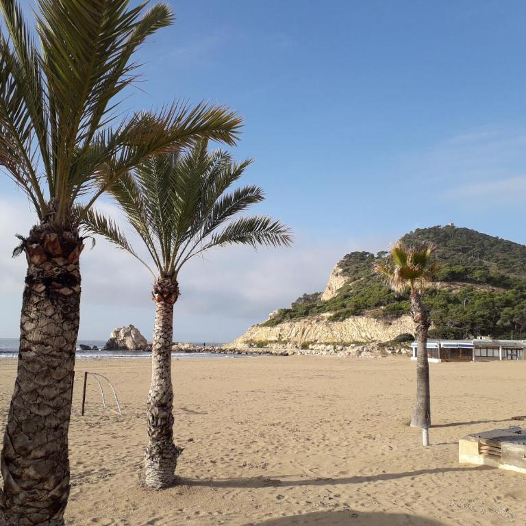 Casa El Dilana - Camporrosso Village - Finestrat - Apartamento de 2 dormitorios - 2