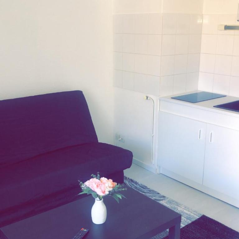 Studio Plage du môle - Apartment mit 1 Schlafzimmer - 3