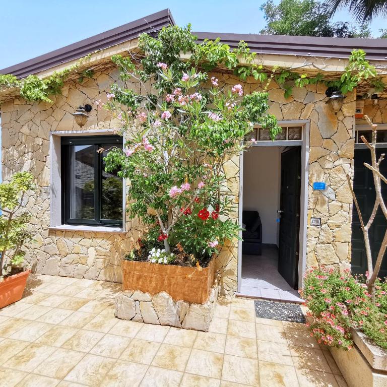 Villa Anita Apartments - Appartamento - 2