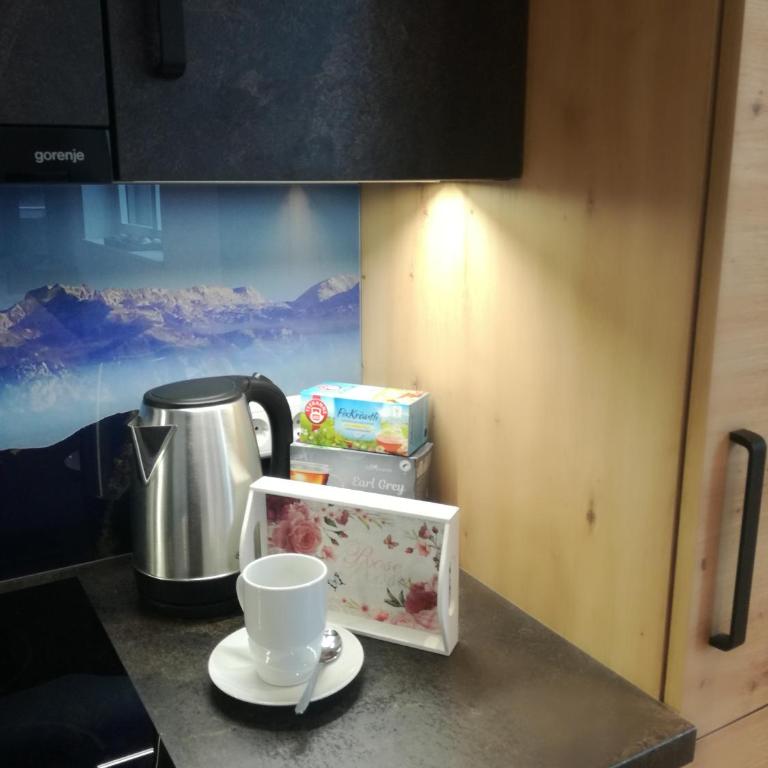 Appartement Ferienwohnung Bergahorn Gröbming - Apartamento de 2 dormitorios - 31