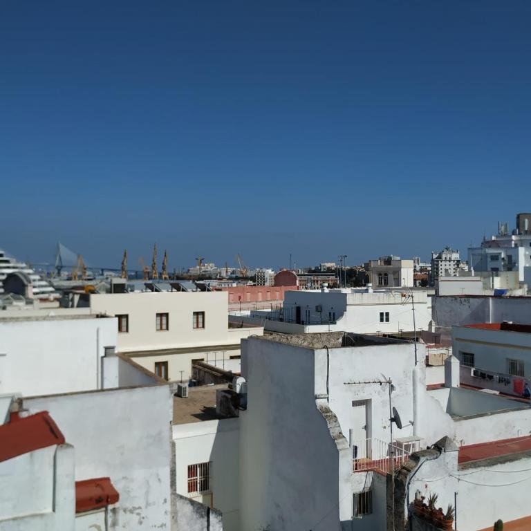 CASA DEL ANTICUARIO APARTMENTS - Apartamento de 1 dormitorio - 3