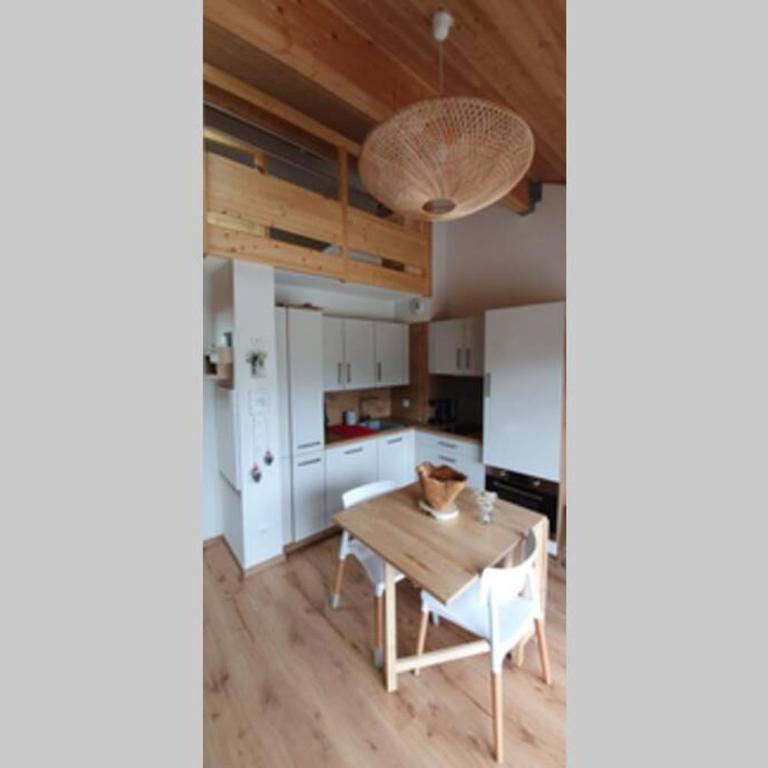Magnifique appartement à la Joue du Loup - Apartment - auf 2 Etagen - 22