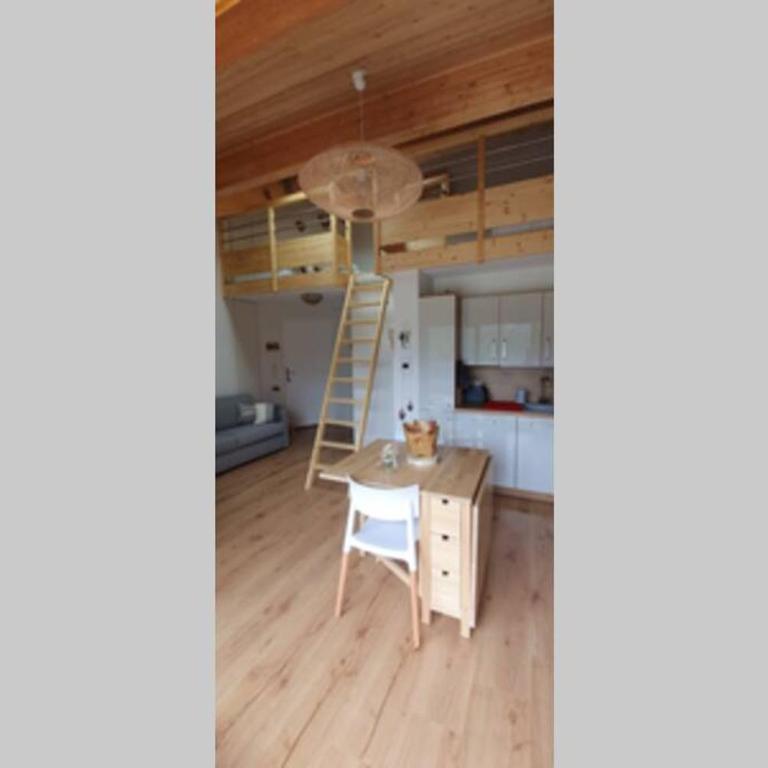 Magnifique appartement à la Joue du Loup - Apartment - auf 2 Etagen - 23